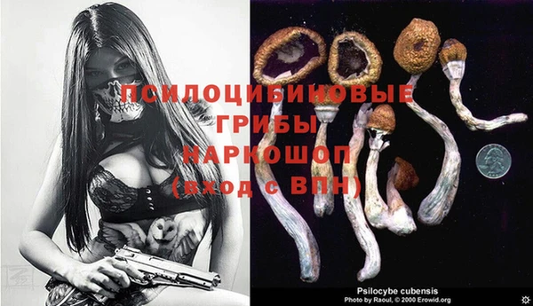 a pvp Россошь