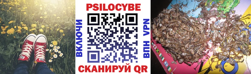 Псилоцибиновые грибы Magic Shrooms  Томмот 